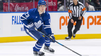 年轻的亚马 年轻的亚马