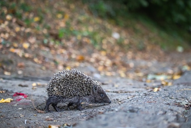 最近的一场 最近的一场