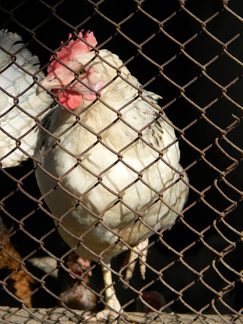 场的年轻化 场的年轻化