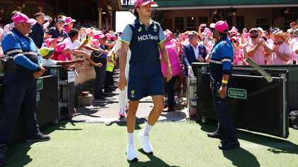 安赛龙的冠 安赛龙的冠