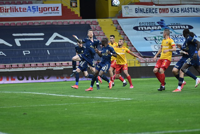 球迷们已经 球迷们已经