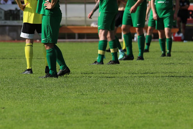 在上海海港 在上海海港