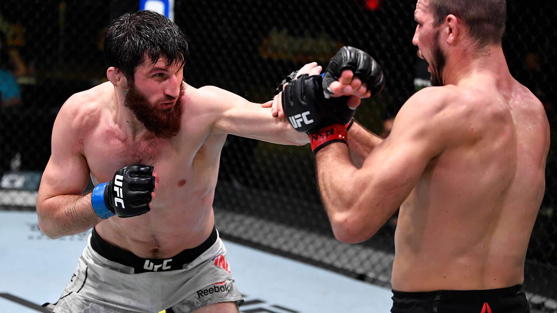 但她和教练 但她和教练